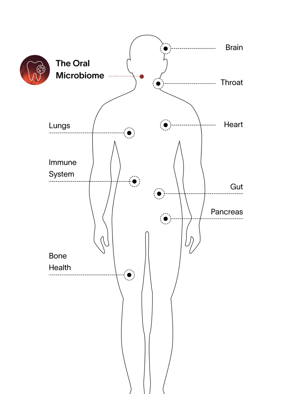 Viome - The Oral Microbiome - Mobile