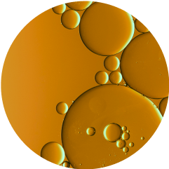 Ellipse 88