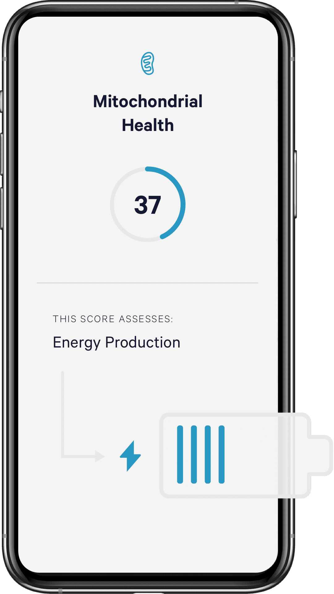 Phone - Mitochondrial Health