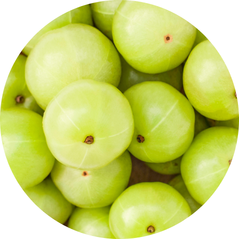 Viome - Amla Fruit Extract