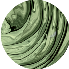 Viome - B. animalis ssp lactis B420