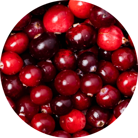 Viome - Cranberry Extract