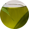 Viome - Green Tea Extract Icon